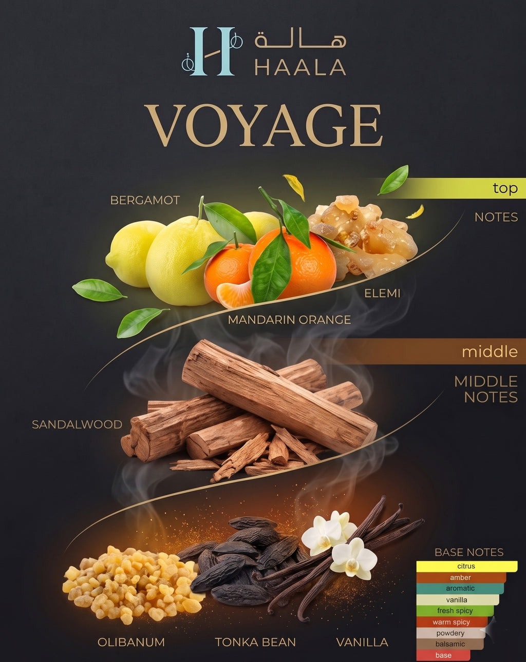 H08 - Voyage